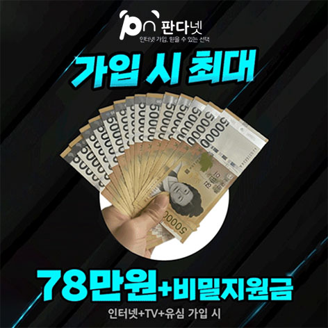 판다넷 로고